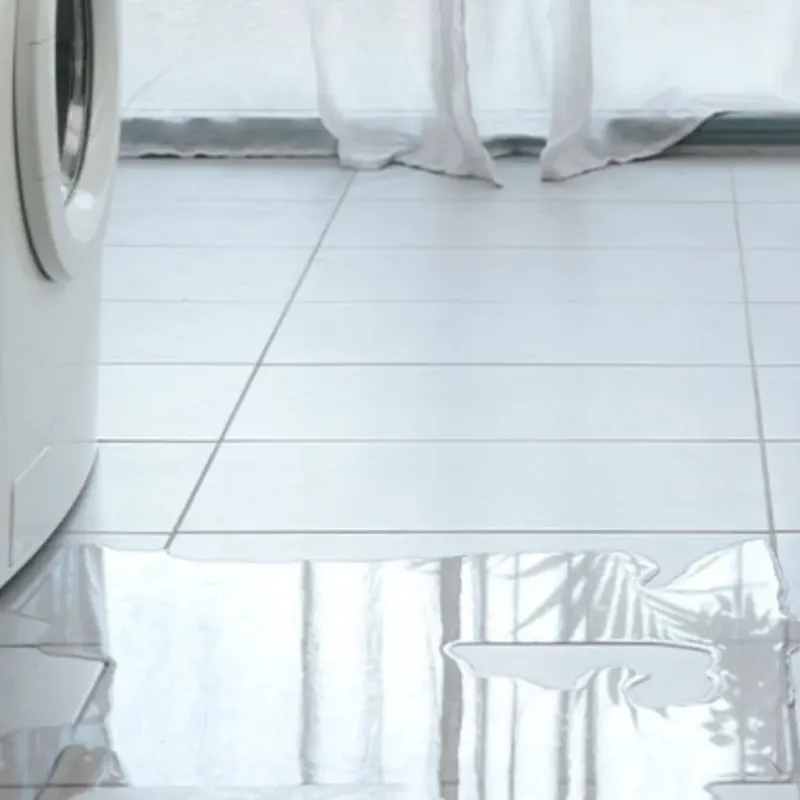 Appliance Leak Cleanup in Vernon, TX