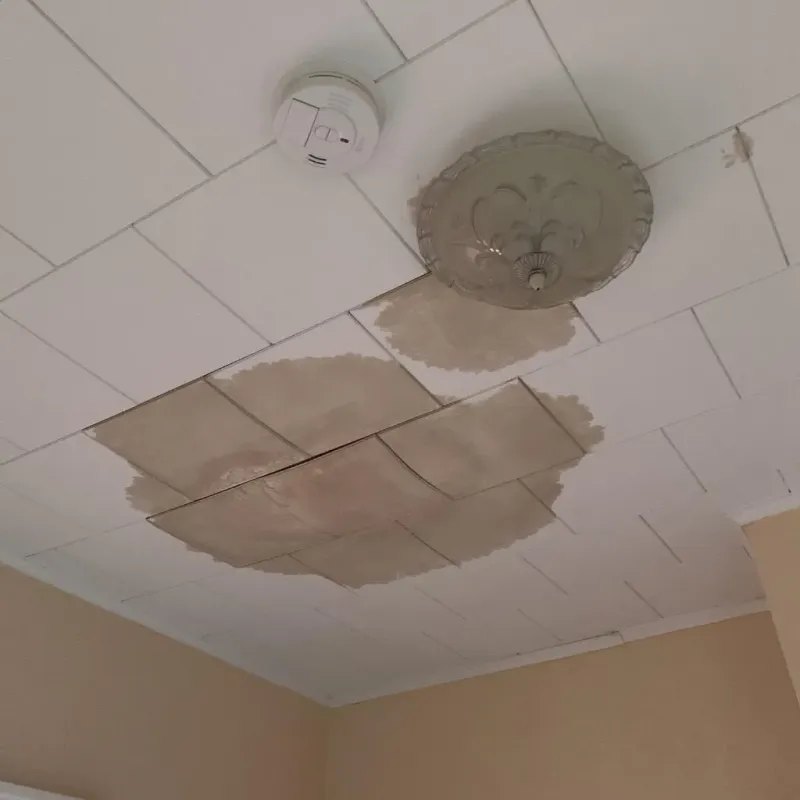 Ceiling Water Damage Repair in Vernon, TX