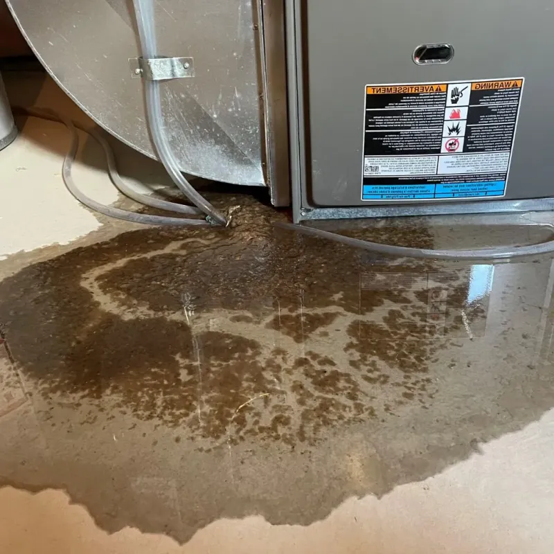 Pipe Burst and Leak Restoration in Vernon, TX