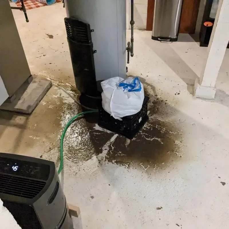 Sewage Backup Cleanup Service in Vernon, TX